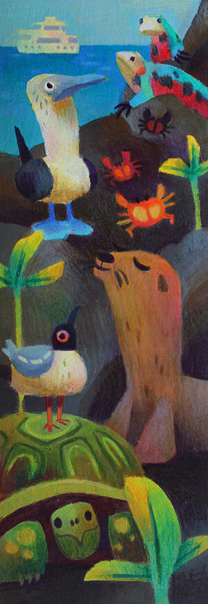 Illustrations Illustrations